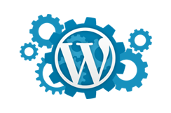 WordPress Web Tasarım icon